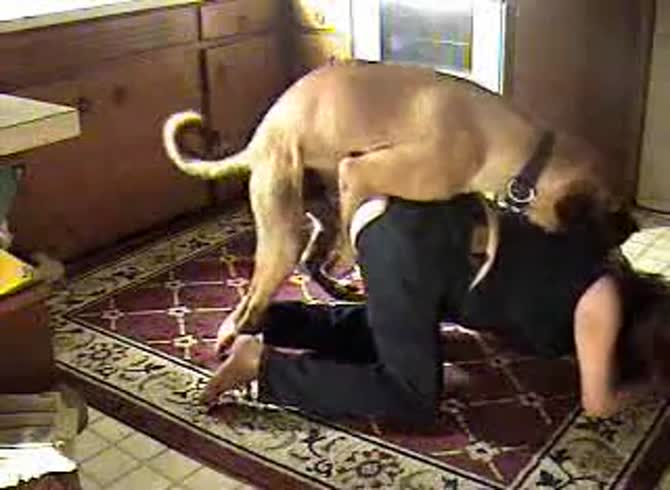 Video :Lady wearing jeans got fucked by a dog's dick in doggystyle position
